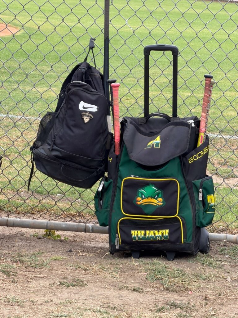 pictures of baseball bag and bats and how much travel baseball costs