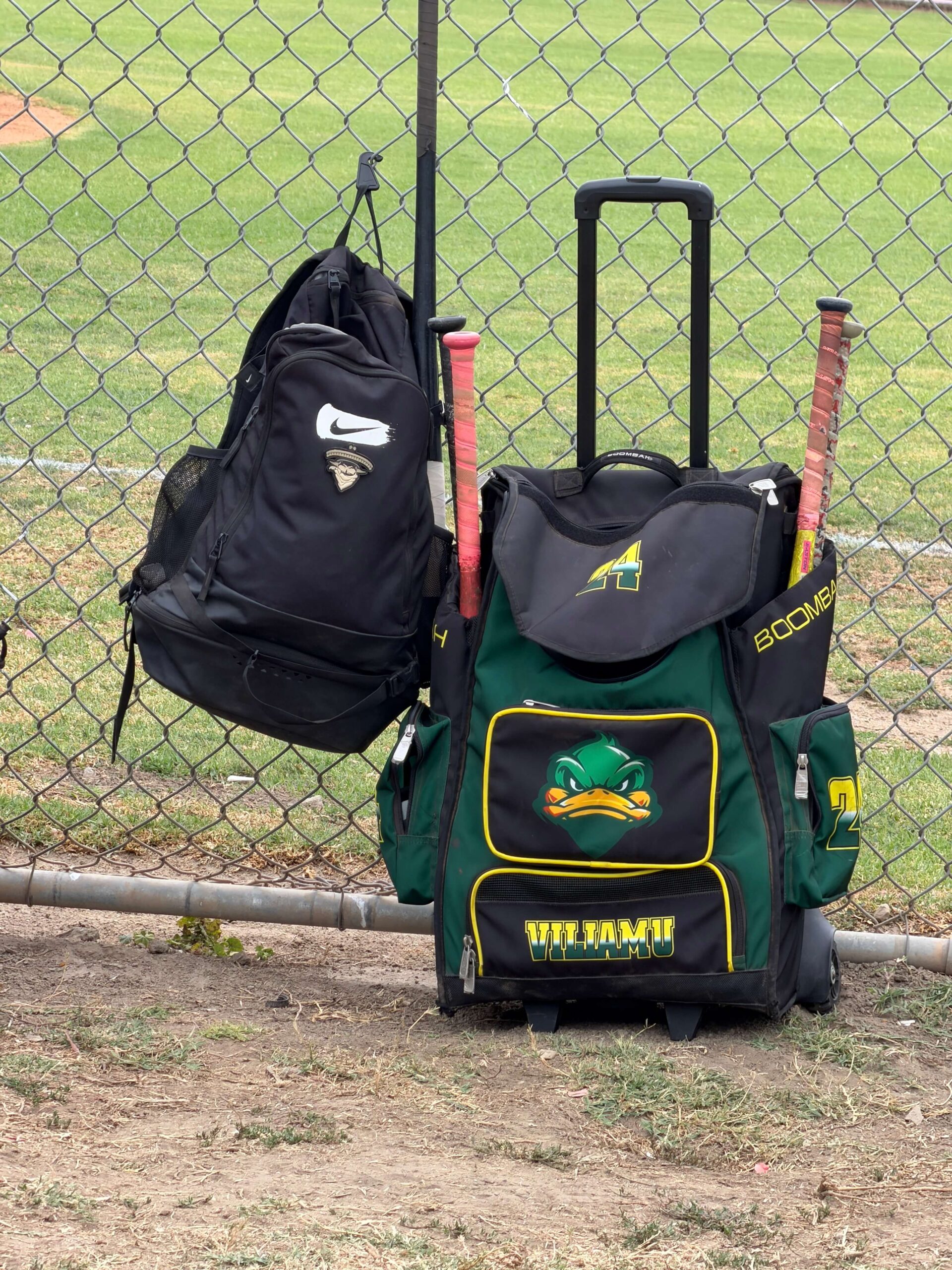 pictures of baseball bag and bats and how much travel baseball costs